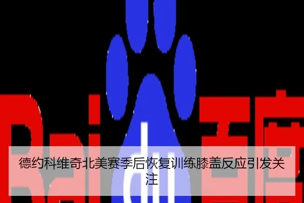 德约科维奇北美赛季后恢复训练膝盖反应引发关注